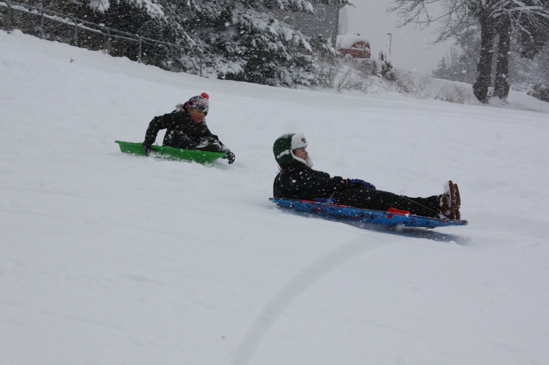 Snowday 2.13.21_9050